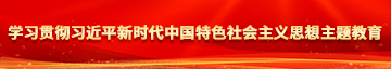 少萝小泬流水学习贯彻习近平新时代中国特色社会主义思想主题教育